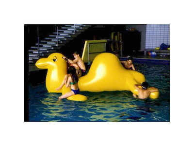 Kamel 3,5 x 2,5 x 1,0 m | Airkraft