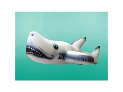 Hvidhaj 5,0 x 2,5 x 1,0 m | Airkraft