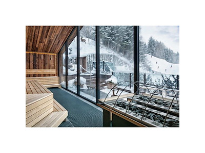 Saunaovn | Goliath/Goliath HD | t/intensiv brug | EOS