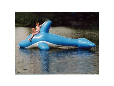 Delfin 5,0 x 2,2 x 1,2 m | Airkraft