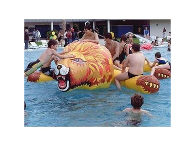 Løve 3,8 x 2,5 x 1,0 m | Airkraft