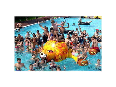 Løve 3,8 x 2,5 x 1,0 m | Airkraft